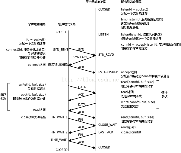 tcp建立连接.png