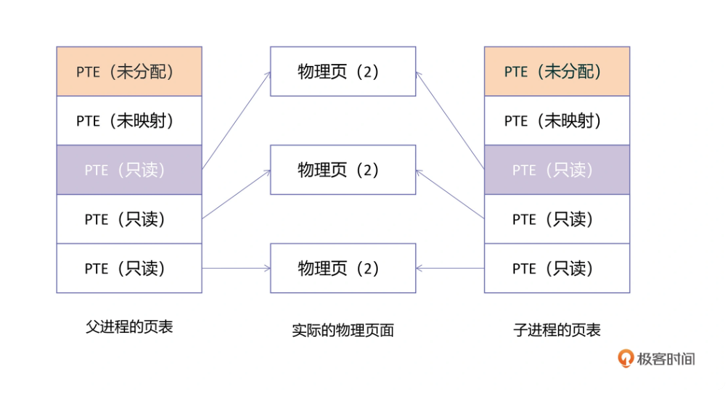 父子进程页表情况图.png